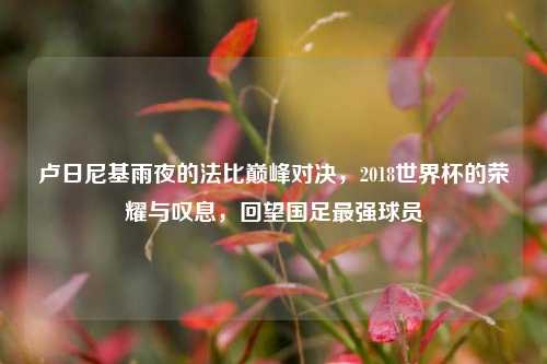 卢日尼基雨夜的法比巅峰对决,2018世界杯的荣耀与叹息,回望国足最强球员