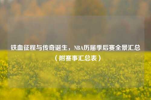 铁血征程与传奇诞生，NBA历届季后赛全景汇总（附赛事汇总表）