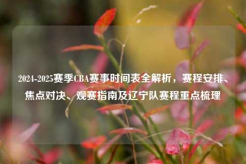2024-2025赛季CBA赛事时间表全解析,赛程安排、焦点对决、观赛指南及辽宁队赛程重点梳理