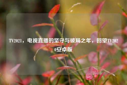 TV2021，电视直播的坚守与破局之年，回望TV2020安卓版