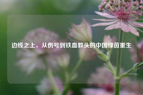 边线之上，从伤号到铁血教头的中国绿茵重生
