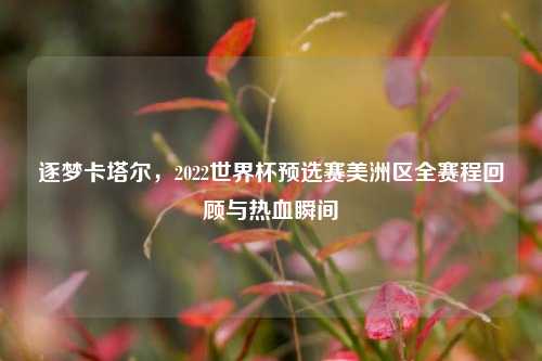 逐梦卡塔尔，2022世界杯预选赛美洲区全赛程回顾与热血瞬间