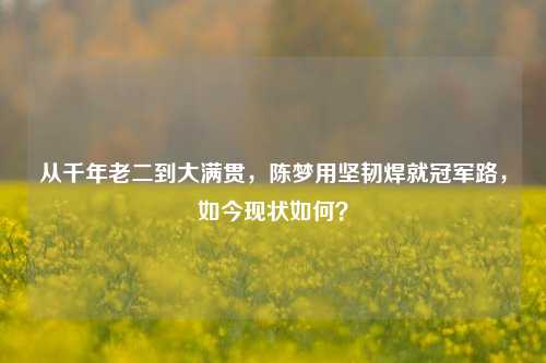 从千年老二到大满贯,陈梦用坚韧焊就冠军路,如今现状如何?