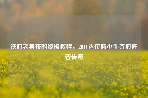 铁血老男孩的终极救赎,2011达拉斯小牛夺冠阵容传奇