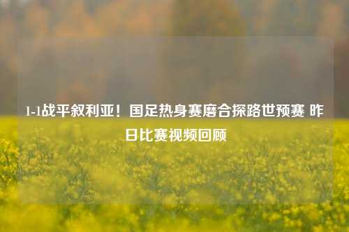 1-1战平叙利亚!国足热身赛磨合探路世预赛 昨日比赛视频回顾