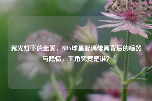 聚光灯下的迷雾,NBA球星配偶绯闻背后的喧嚣与隐情,主角究竟是谁?