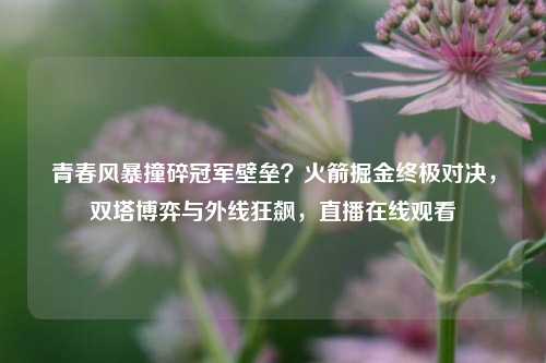 青春风暴撞碎冠军壁垒?火箭掘金终极对决,双塔博弈与外线狂飙,直播在线观看