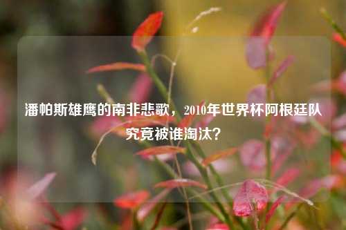 潘帕斯雄鹰的南非悲歌,2010年世界杯阿根廷队究竟被谁淘汰?