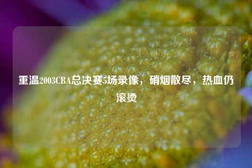 重温2003CBA总决赛5场录像,硝烟散尽,热血仍滚烫