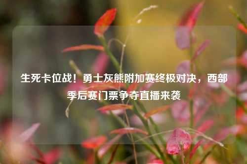 生死卡位战!勇士灰熊附加赛终极对决,西部季后赛门票争夺直播来袭