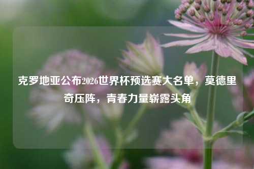 克罗地亚公布2026世界杯预选赛大名单，莫德里奇压阵，青春力量崭露头角