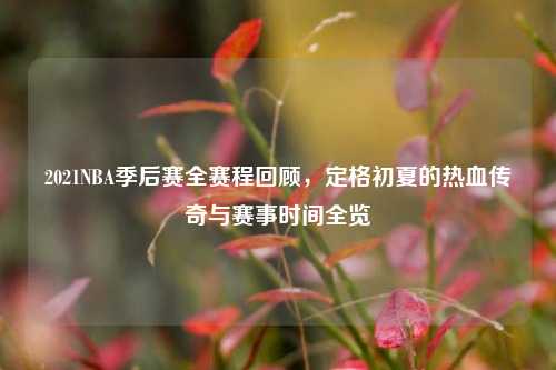 2021NBA季后赛全赛程回顾，定格初夏的热血传奇与赛事时间全览
