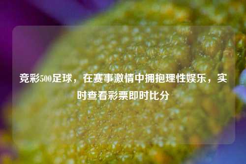 竞彩500足球,在赛事激情中拥抱理性娱乐,实时查看彩票即时比分