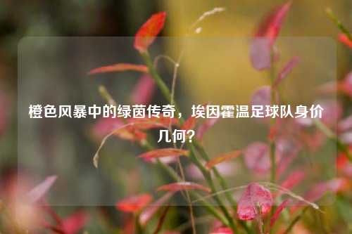 橙色风暴中的绿茵传奇，埃因霍温足球队身价几何？