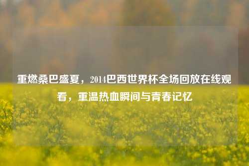 重燃桑巴盛夏，2014巴西世界杯全场回放在线观看，重温热血瞬间与青春记忆