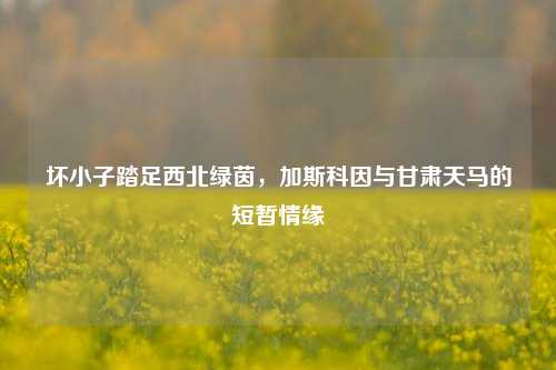 坏小子踏足西北绿茵，加斯科因与甘肃天马的短暂情缘