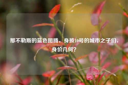 那不勒斯的蓝色图腾,身披10号的城市之子们,身价几何?