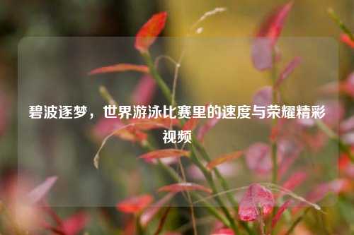 碧波逐梦，世界游泳比赛里的速度与荣耀精彩视频