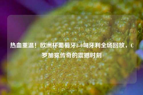 热血重温!欧洲杯葡萄牙3-0匈牙利全场回放,C罗加冕传奇的震撼时刻