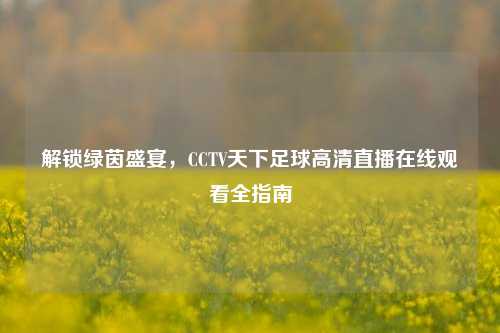 解锁绿茵盛宴,CCTV天下足球高清直播在线观看全指南