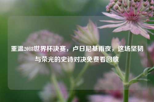 重温2018世界杯决赛，卢日尼基雨夜，这场坚韧与荣光的史诗对决免费看回放