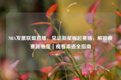 NBA发展联盟直播,见证新星崛起赛场,解锁观赛新维度|观看渠道全指南
