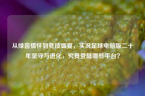 从绿茵情怀到竞技盛宴,实况足球电脑版二十年坚守与进化,究竟登陆哪些平台?