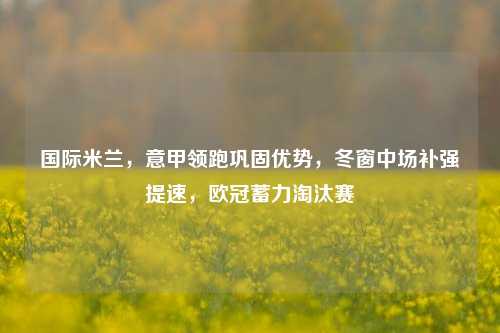国际米兰,意甲领跑巩固优势,冬窗中场补强提速,欧冠蓄力淘汰赛