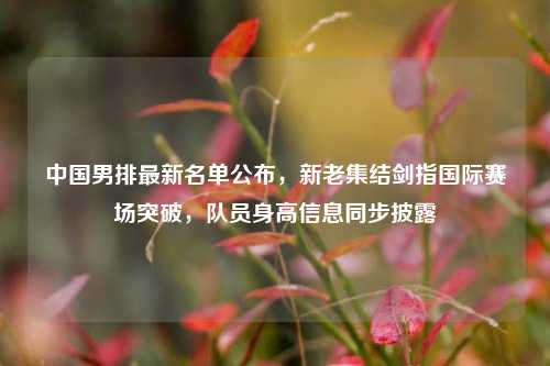中国男排最新名单公布,新老集结剑指国际赛场突破,队员身高信息同步披露