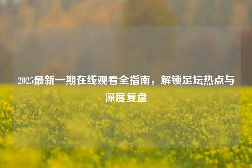 2025最新一期在线观看全指南,解锁足坛热点与深度复盘