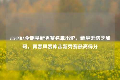 2020NBA全明星新秀赛名单出炉,新星集结芝加哥,青春风暴冲击新秀赛最高得分