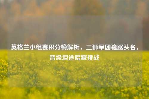 英格兰小组赛积分榜解析，三狮军团稳踞头名，晋级坦途暗藏挑战