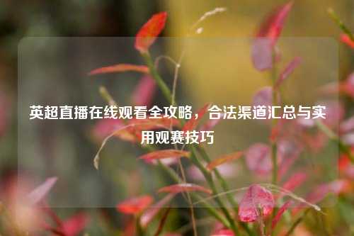 英超直播在线观看全攻略,合法渠道汇总与实用观赛技巧