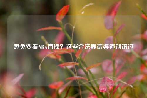 想免费看NBA直播?这些合法靠谱渠道别错过
