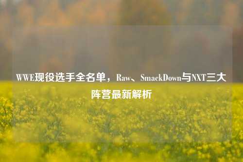 WWE现役选手全名单,Raw、SmackDown与NXT三大阵营最新解析