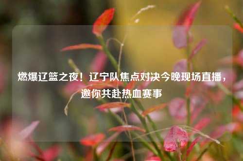 燃爆辽篮之夜!辽宁队焦点对决今晚现场直播,邀你共赴热血赛事