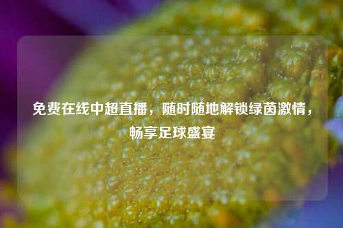 免费在线中超直播,随时随地解锁绿茵激情,畅享足球盛宴