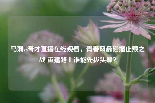 马刺vs奇才直播在线观看，青春风暴碰撞止颓之战 重建路上谁能先拔头筹？