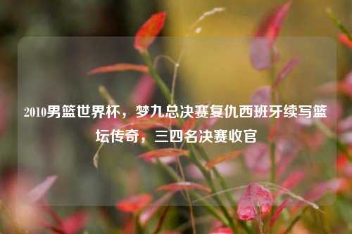 2010男篮世界杯,梦九总决赛复仇西班牙续写篮坛传奇,三四名决赛收官