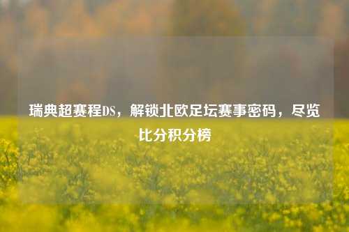 瑞典超赛程DS,解锁北欧足坛赛事密码,尽览比分积分榜