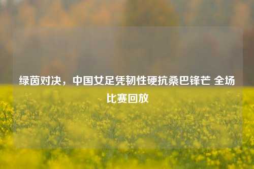 绿茵对决,中国女足凭韧性硬抗桑巴锋芒 全场比赛回放