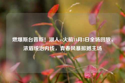 燃爆斯台普斯!湖人vs火箭11月3日全场回放,浓眉统治内线,青春风暴掀撼主场