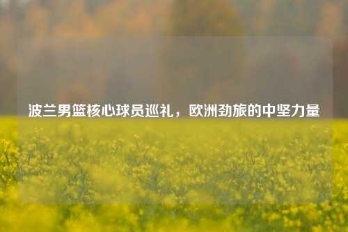 波兰男篮核心球员巡礼，欧洲劲旅的中坚力量
