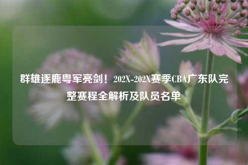 群雄逐鹿粤军亮剑!202X-202X赛季CBA广东队完整赛程全解析及队员名单