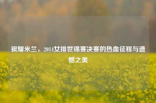 银耀米兰，2014女排世锦赛决赛的热血征程与遗憾之美