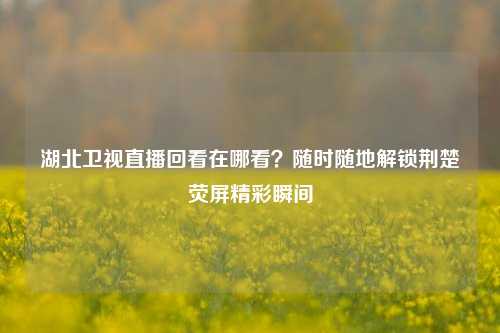 湖北卫视直播回看在哪看?随时随地解锁荆楚荧屏精彩瞬间
