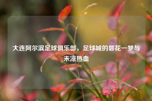 大连阿尔滨足球俱乐部，足球城的昙花一梦与未凉热血