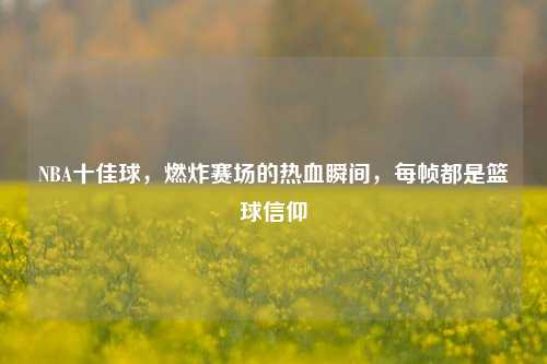 NBA十佳球，燃炸赛场的热血瞬间，每帧都是篮球信仰