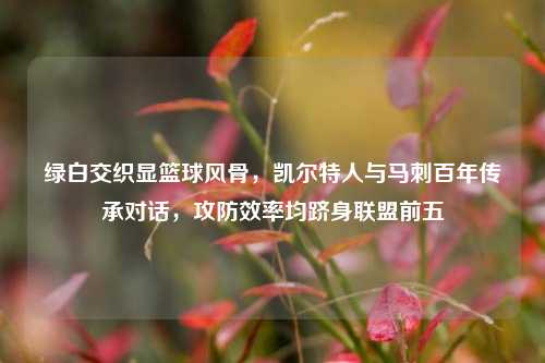 绿白交织显篮球风骨,凯尔特人与马刺百年传承对话,攻防效率均跻身联盟前五