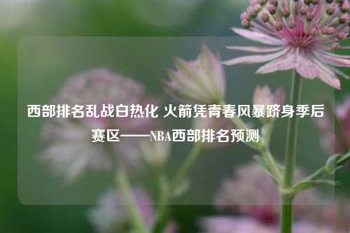西部排名乱战白热化 火箭凭青春风暴跻身季后赛区——NBA西部排名预测